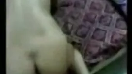 পর্নোতারকা, ব্লজব, স ...