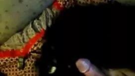 হালকা করে উত্যক্ত কর ...