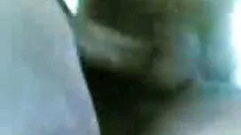 ব্লজব, পুরুষ মানুষ,  ...