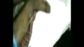 স্বামী ও হিন্দি সেক্ ...